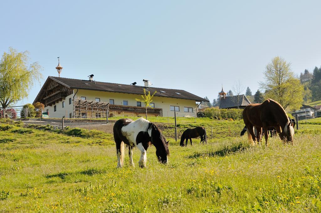 Familie Sponring - Maxnhagerhof Appartement Weerberg Buitenkant foto